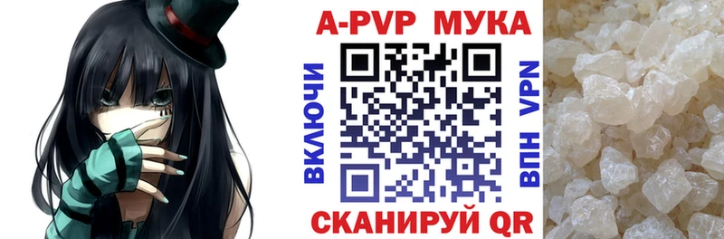 продажа наркотиков  Курчалой  сайты даркнета как зайти  А ПВП Соль 