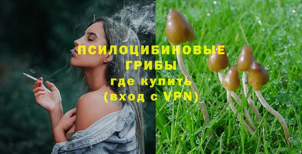 apvp Алексеевка