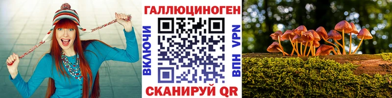 даркнет сайт  Курчалой  Псилоцибиновые грибы ЛСД 